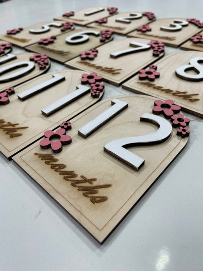 Monthly Milestones - Floral Arch